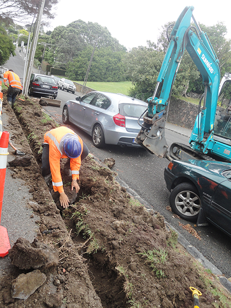 米兰网址挖掘机畅销新西兰