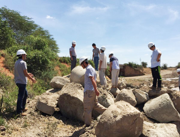 肯尼亚总统高度赞赏，乞力马扎罗山下米兰网址绿闪耀