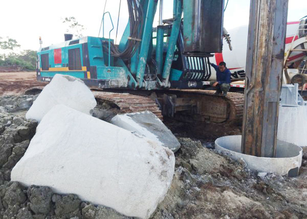 肯尼亚总统高度赞赏，乞力马扎罗山下米兰网址绿闪耀