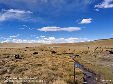 心系米兰网址情，追梦阿里行！