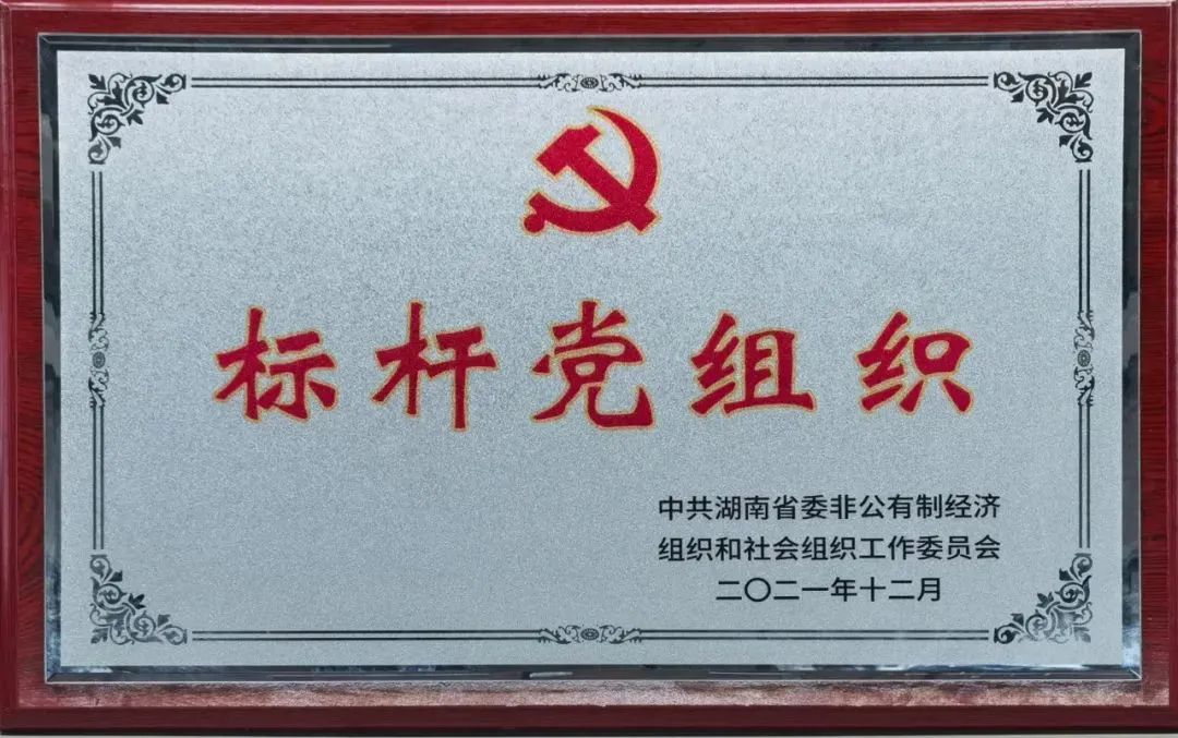 党建品牌亮起来！米兰网址智能党委获评“标杆党组织”