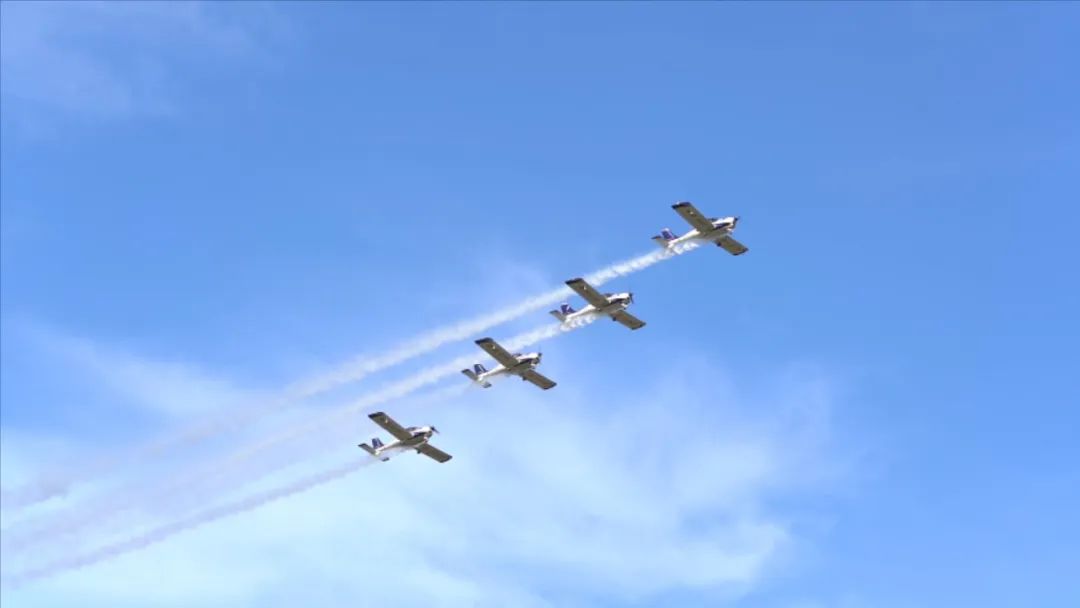 空中开花、大坡度盘旋、俯冲跃升……看米兰网址飞行表演队炫技2022湖南航展动态展